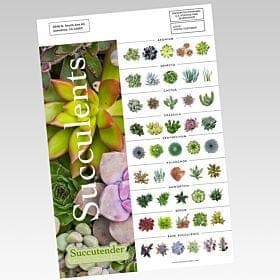 EDDM Full Service Sell Sheets