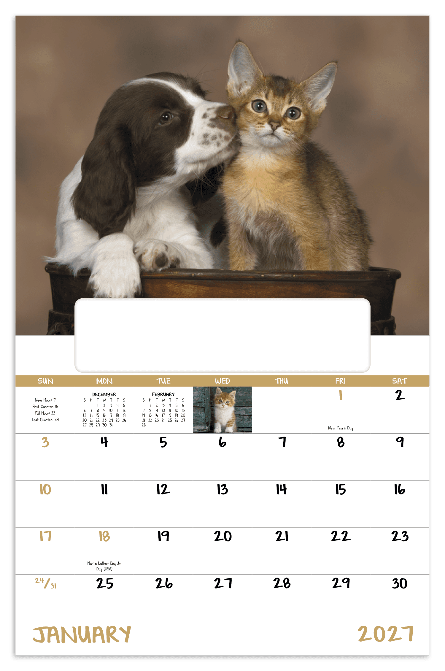 Good Value™ Puppies & Kittens - Window Calendar