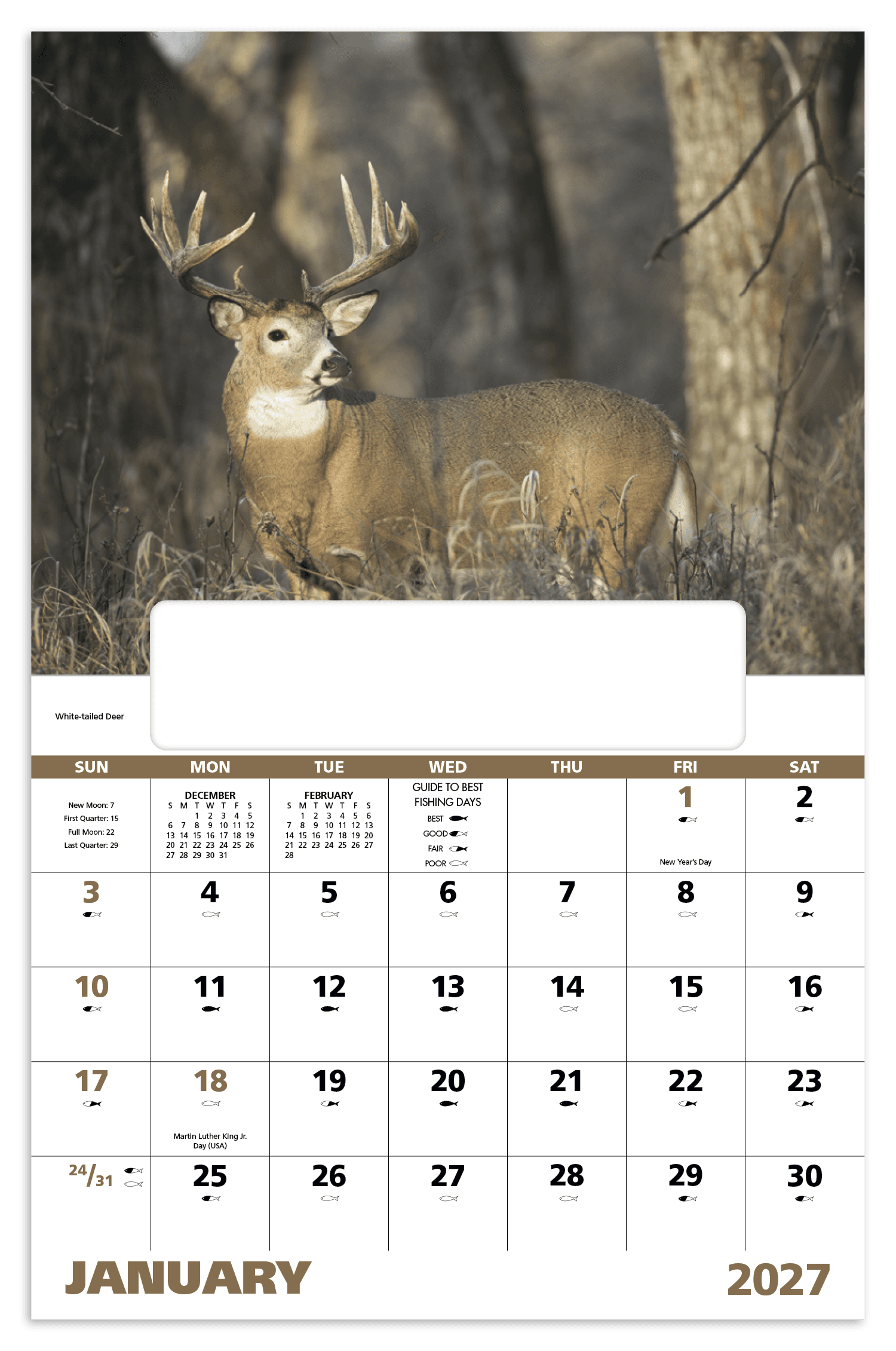Good Value™ Wildlife Portraits - Window Calendar