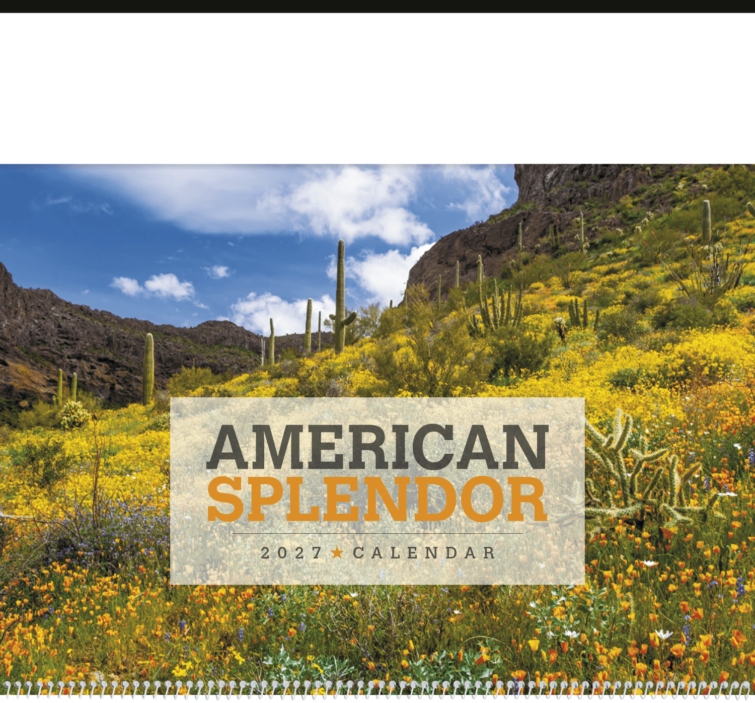 Triumph® Calendars American Splendor Calendar